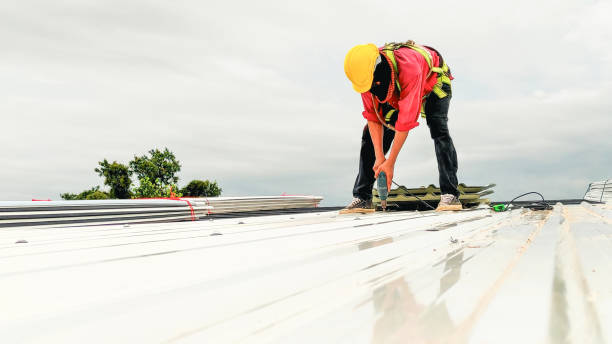 Best Roof Maintenance and Cleaning  in Yorktown, IN