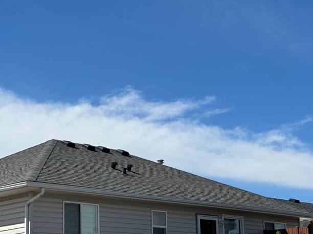 Best Asphalt Shingle Roofing  in Yorktown, IN